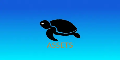 Turtle Bet Assets Header Image