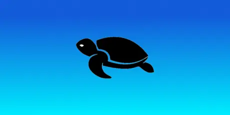 Turtle Bet Header Image